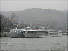 Klicke auf die Grafik für eine größere Ansicht 

Name:	02- Viking Star -11.02.2003.JPG 
Hits:	136 
Größe:	62,8 KB 
ID:	371267