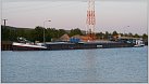 Klicke auf die Grafik für eine größere Ansicht 

Name:	Vivarium L am Hafen Riesenbeck.jpg 
Hits:	91 
Größe:	59,3 KB 
ID:	115016