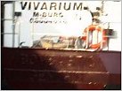 Klicke auf die Grafik für eine größere Ansicht 

Name:	Vivarium v.hi. ex BOMBASTIC Spiegel.jpg 
Hits:	158 
Größe:	106,4 KB 
ID:	117622