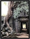 Klicke auf die Grafik für eine größere Ansicht 

Name:	2018.11.01 kambodscha angkor wat 4.jpg 
Hits:	122 
Größe:	239,6 KB 
ID:	741175