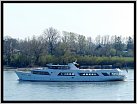 Klicke auf die Grafik für eine größere Ansicht 

Name:	2019.03.29 fgs grace kelly.JPG 
Hits:	119 
Größe:	197,5 KB 
ID:	760344