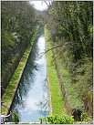 Klicke auf die Grafik für eine größere Ansicht 

Name:	Canal_Marne_Saone_20190419120020_P9710747.jpg 
Hits:	42 
Größe:	107,2 KB 
ID:	765071