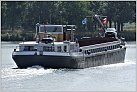 Klicke auf die Grafik für eine größere Ansicht 

Name:	Nelly-V-7-07-09-2019-sluis-Grave (2).jpg 
Hits:	53 
Größe:	96,2 KB 
ID:	780243