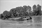 Klicke auf die Grafik für eine größere Ansicht 

Name:	Bremen MSLAG  Foto Erich Meng 25.05.1954  Archiv R. Diesler T.jpg 
Hits:	164 
Größe:	91,2 KB 
ID:	844296