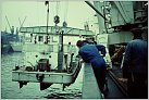 Klicke auf die Grafik für eine größere Ansicht 

Name:	Landungsboot- (20).JPG 
Hits:	502 
Größe:	199,1 KB 
ID:	858585