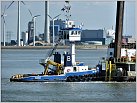 Klicke auf die Grafik für eine größere Ansicht 

Name:	Sil-Jeske-B-6-13-09-2018-Vlissingen (2).JPG 
Hits:	34 
Größe:	222,2 KB 
ID:	861118