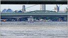 Klicke auf die Grafik für eine größere Ansicht 

Name:	Seestern 2021-07-02 © klt-cgn (17) bei Rhein-KM 685 Neubau-Überführungsfahrt von der Lux-Werft z.JPG 
Hits:	64 
Größe:	836,0 KB 
ID:	872782