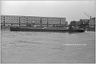 Klicke auf die Grafik für eine größere Ansicht 

Name:	WU-53  Wi W13-31a  GMS  am 02.06.1950  Mannheim  Foto S. Wilk  Archiv R. Diesler T PS.jpg 
Hits:	152 
Größe:	297,0 KB 
ID:	918459