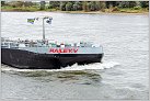 Klicke auf die Grafik für eine größere Ansicht 

Name:	Railey.V TMS 2023-10-29 Xanten Rhein KM 823 zu Berg (5).jpg 
Hits:	22 
Größe:	916,3 KB 
ID:	964507