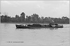 Klicke auf die Grafik für eine größere Ansicht 

Name:	WU-106  Wi 66-37   GMS  NRM  16.09.1951    Mannheim    Foto S. Wilk  Archiv R. Diesler D T PS.jpg 
Hits:	100 
Größe:	367,7 KB 
ID:	970882