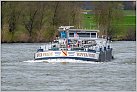 Klicke auf die Grafik für eine größere Ansicht 

Name:	River Pride TMS 2024-03-24 Xanten Rhein KM 823 zu Berg (5).jpg 
Hits:	13 
Größe:	745,9 KB 
ID:	980498