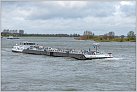 Klicke auf die Grafik für eine größere Ansicht 

Name:	River Pride TMS 2024-03-24 Xanten Rhein KM 823 zu Berg (10).jpg 
Hits:	11 
Größe:	640,8 KB 
ID:	980503