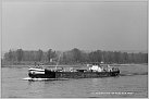 Klicke auf die Grafik für eine größere Ansicht 

Name:	DX 76-14-13   ELBE XIX  4003110  01.05.1976     Foto G. Dexheimer  Archiv R. Diesler D T PS_bear.jpg 
Hits:	38 
Größe:	309,9 KB 
ID:	983126