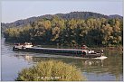Klicke auf die Grafik für eine größere Ansicht 

Name:	RD 175-4a  JAN SR ex SAVIGNY  im Hössgang-Donau  12.09.1997   Foto Rolf Diesler T PS.jpg 
Hits:	29 
Größe:	465,1 KB 
ID:	985882