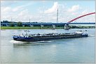 Klicke auf die Grafik für eine größere Ansicht 

Name:	Eiltank 10 TMS 2023-09-17 Duisburg Rhein KM 775 zu Berg (7).jpg 
Hits:	16 
Größe:	720,4 KB 
ID:	959669