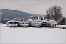 Klicke auf die Grafik für eine größere Ansicht 

Name:	Eiszeit im Winterhafen Linz.jpg 
Hits:	142 
Größe:	48,8 KB 
ID:	637443