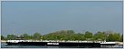 Klicke auf die Grafik für eine größere Ansicht 

Name:	Schloss-Oranienbaum-5-23-04-2014-St.Andries.jpg 
Hits:	54 
Größe:	29,7 KB 
ID:	475286