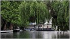 Klicke auf die Grafik für eine größere Ansicht 

Name:	GUC Little Venice 20190610 _3.jpg 
Hits:	58 
Größe:	122,9 KB 
ID:	770277