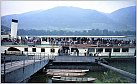 Klicke auf die Grafik für eine größere Ansicht 

Name:	SCHÖNBRUNN, DDSG, Station Spitz, Wachau, Anlegemanöver, Sept. 1975, HK..jpg 
Hits:	52 
Größe:	367,4 KB 
ID:	936958