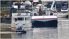 Klicke auf die Grafik für eine größere Ansicht 

Name:	MS Stadt Köln 2019-11-07 Verschleppung in Niehler Hafen (04) - nach Abschluß Baustufe 1.jpg 
Hits:	121 
Größe:	92,3 KB 
ID:	788254