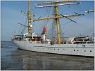 Klicke auf die Grafik für eine größere Ansicht 

Name:	Gorch Fock_10.JPG 
Hits:	128 
Größe:	85,9 KB 
ID:	68771