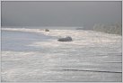 Klicke auf die Grafik für eine größere Ansicht 

Name:	Rheinschiffe im Morgennebel 2012-07-22 Ndh.jpg 
Hits:	79 
Größe:	51,9 KB 
ID:	785614