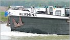 Klicke auf die Grafik für eine größere Ansicht 

Name:	Hermina Vorschiff-2.jpg 
Hits:	130 
Größe:	64,2 KB 
ID:	114596