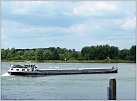 Klicke auf die Grafik für eine größere Ansicht 

Name:	head-3-11-08-2017-Woudrichem (2).JPG 
Hits:	58 
Größe:	166,4 KB 
ID:	674167