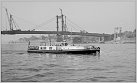 Klicke auf die Grafik für eine größere Ansicht 

Name:	Falke Stromaufsichtsboot  Foto WSD Duisburg 15-13-6.jpg 
Hits:	172 
Größe:	66,8 KB 
ID:	830139