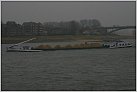 Klicke auf die Grafik für eine größere Ansicht 

Name:	ALBATROS (2327168)(02) Nijmegen 24 feb 2012 ©Henry Platje.jpg 
Hits:	72 
Größe:	46,6 KB 
ID:	303972