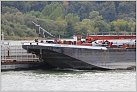 Klicke auf die Grafik für eine größere Ansicht 

Name:	06 DIT TMSS Danube Carrier - 02322333 + 2 TSL.JPG 
Hits:	65 
Größe:	101,0 KB 
ID:	625165