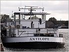 Klicke auf die Grafik für eine größere Ansicht 

Name:	Antilope 2.JPG 
Hits:	98 
Größe:	185,9 KB 
ID:	351925