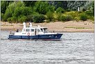 Klicke auf die Grafik für eine größere Ansicht 

Name:	WSP4 Polizeiboot 2023-07-16 Rheinfähre Xanten KM 823,2 (2).jpg 
Hits:	32 
Größe:	1,03 MB 
ID:	956871