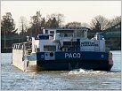 Klicke auf die Grafik für eine größere Ansicht 

Name:	Paco am Hafen Riesenbeck von achtern.jpg 
Hits:	102 
Größe:	181,3 KB 
ID:	213361