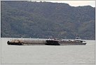 Klicke auf die Grafik für eine größere Ansicht 

Name:	04 DIT TMSS Danube Carrier - 02322333 + 2 TSL.JPG 
Hits:	61 
Größe:	72,0 KB 
ID:	625163