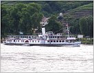 Klicke auf die Grafik für eine größere Ansicht 

Name:	Urlaub Juni 15 i.d.Wachau 030 (Mittel).jpg 
Hits:	82 
Größe:	117,5 KB 
ID:	550329