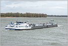 Klicke auf die Grafik für eine größere Ansicht 

Name:	River Pride TMS 2024-03-24 Xanten Rhein KM 823 zu Berg (16).jpg 
Hits:	8 
Größe:	662,4 KB 
ID:	980507