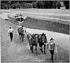 Klicke auf die Grafik für eine größere Ansicht 

Name:	Ludwig-Donau-Main-Kanal, Holzfuhrwerk um 1930.jpg 
Hits:	104 
Größe:	119,1 KB 
ID:	919066