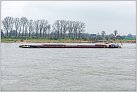 Klicke auf die Grafik für eine größere Ansicht 

Name:	Reimar GMS 2024-02-17 Xanten Rhein KM 823 zu Tal (5).jpg 
Hits:	9 
Größe:	691,2 KB 
ID:	975328