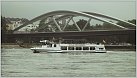 Klicke auf die Grafik für eine größere Ansicht 

Name:	Donauprinzessin bei Neuer Eisenbahnbrücke.jpg 
Hits:	53 
Größe:	400,7 KB 
ID:	948284