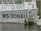 Klicke auf die Grafik für eine größere Ansicht 

Name:	MS Donau 2008-08-25 in Ulm (5) .JPG 
Hits:	203 
Größe:	89,9 KB 
ID:	296678