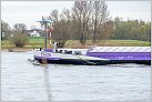 Klicke auf die Grafik für eine größere Ansicht 

Name:	Yaris GMS 2024-03-17 Xanten Rhein KM 823 zu Tal (11).jpg 
Hits:	9 
Größe:	662,1 KB 
ID:	979641