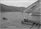 Klicke auf die Grafik für eine größere Ansicht 

Name:	Abb 8  Blick aus Mäuseturm auf Binger-Loch am 05.11.1960  Foto WSA Bingen T PS.jpg 
Hits:	194 
Größe:	313,7 KB 
ID:	937760