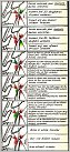 Klicke auf die Grafik für eine größere Ansicht 

Name:	Strbg_Nord.jpg 
Hits:	263 
Größe:	142,2 KB 
ID:	735425